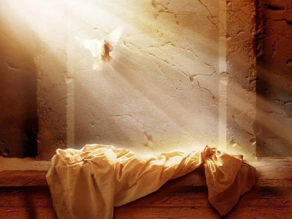Ressurreição: o amanhecer de uma nova humanidade